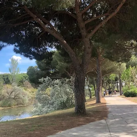 Joli Proche De La Nature