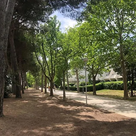Joli Proche De La Nature * 라그랑모트